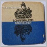 kaufbeurenschiff (19).jpg